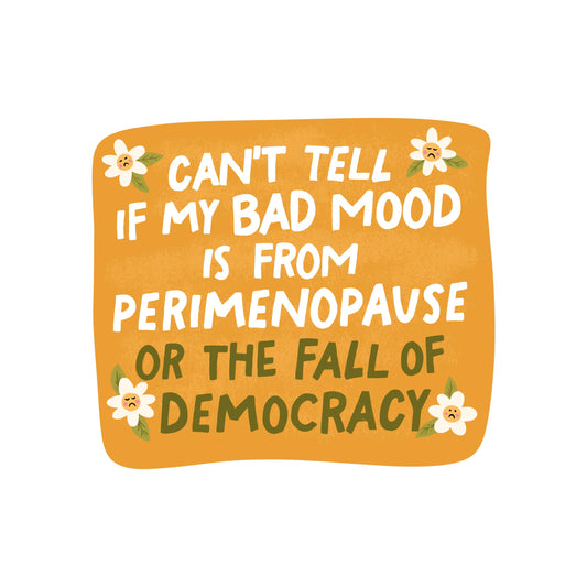 Women Politics Democracy High Quality Vinyl Sticker