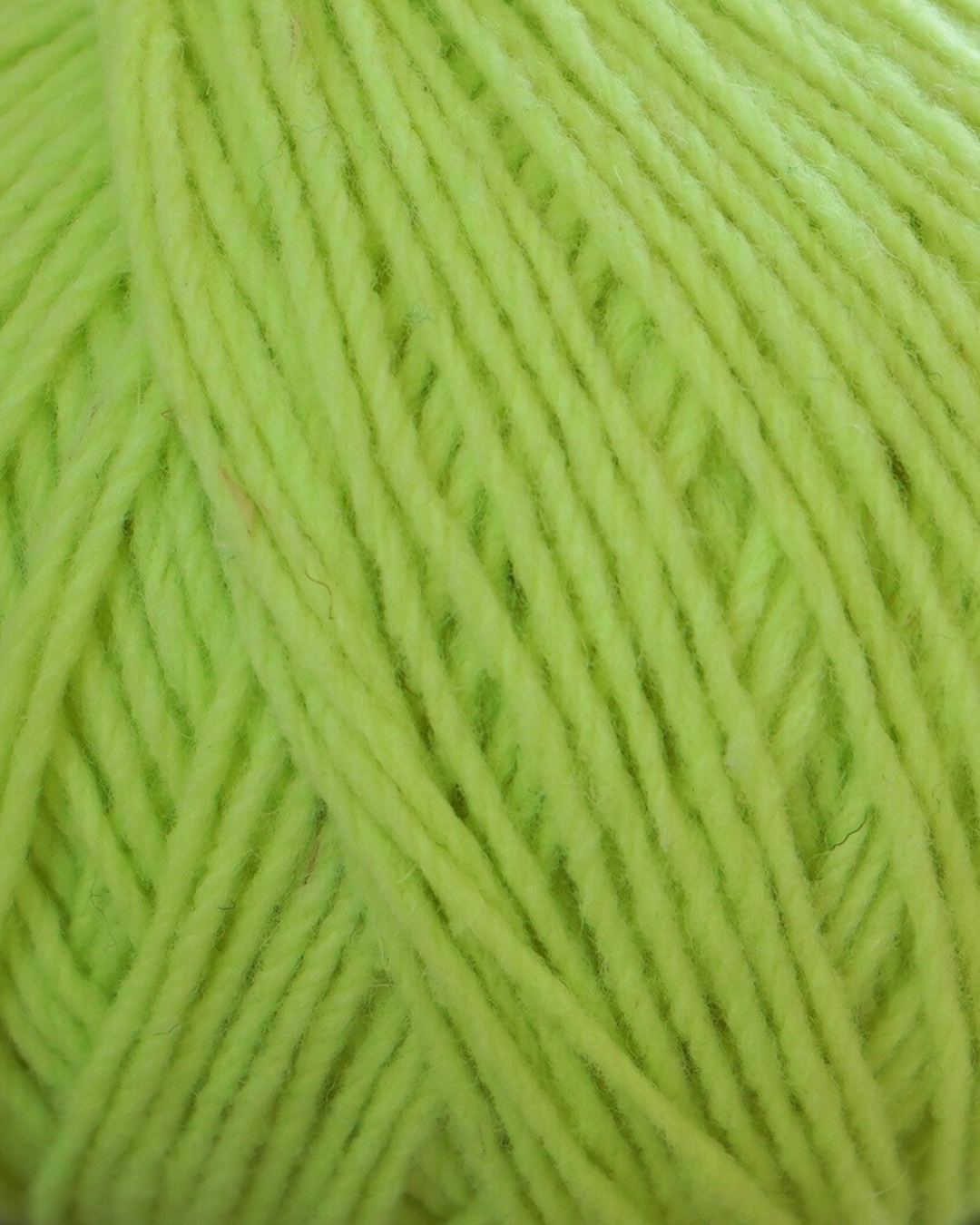 Mota NEONS by Wool Dreamers