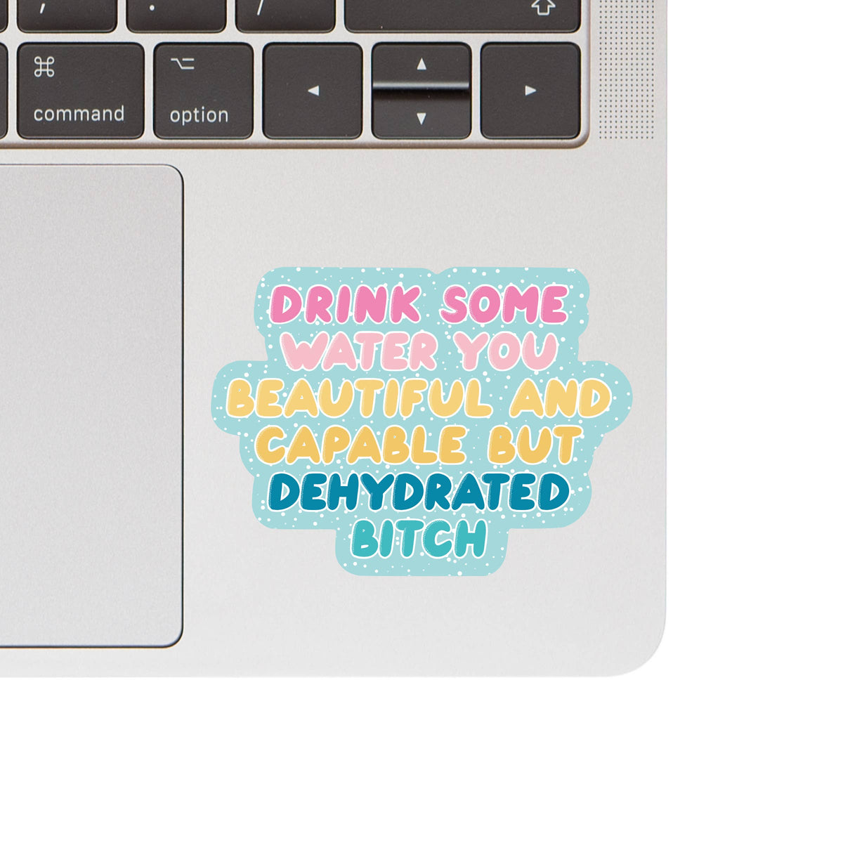Water Bitch Funny Swear High Quality Vinyl Sticker