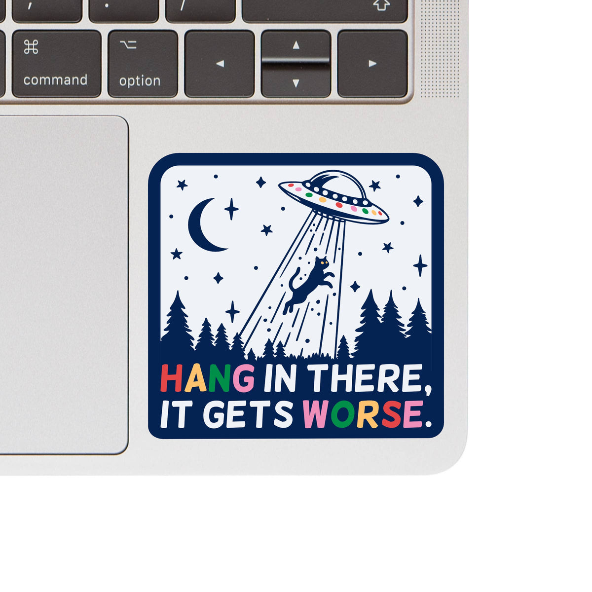 Funny Cute Kitty Cat Sarcastic High Quality Vinyl Sticker