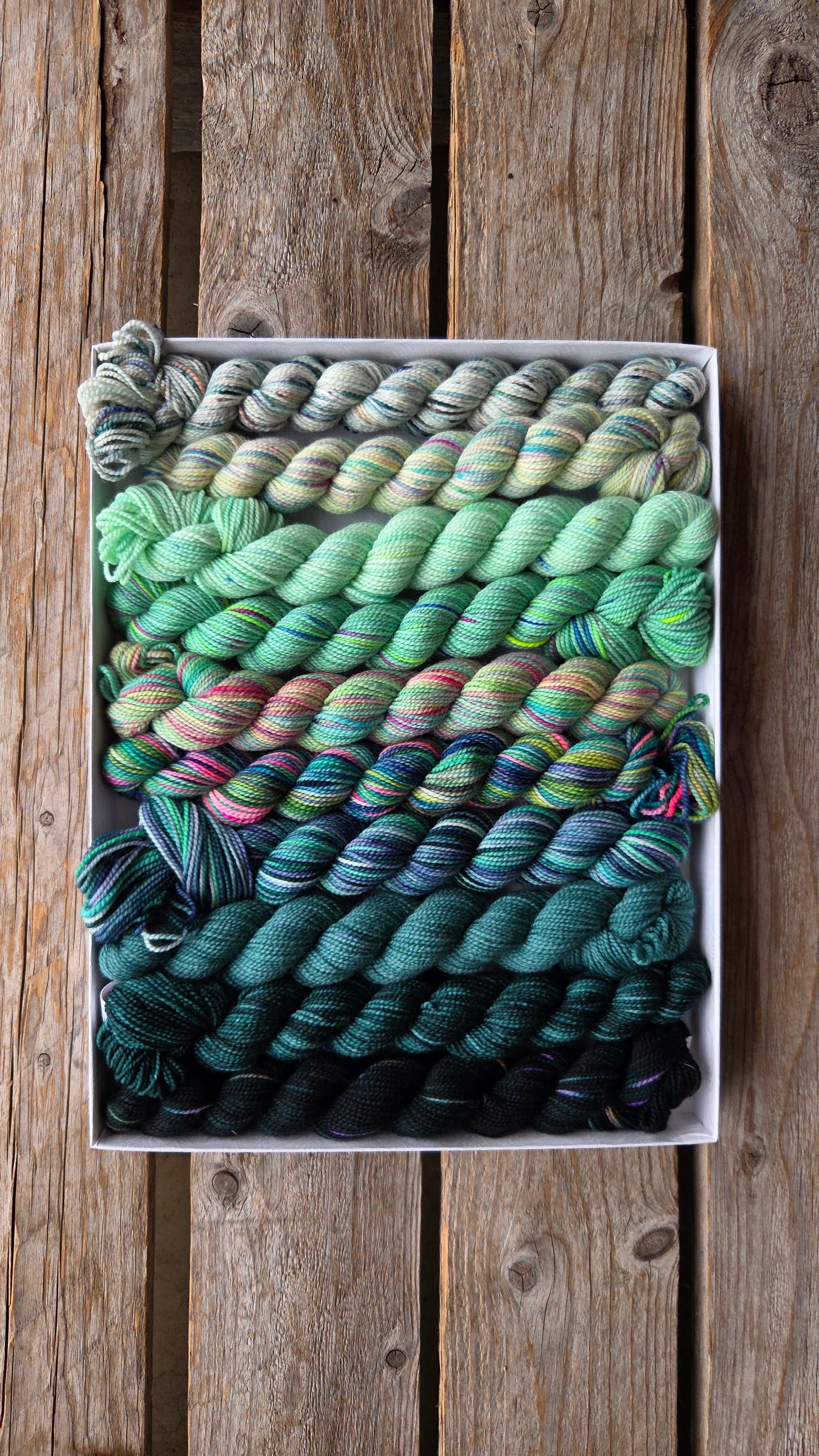 Venation Shawl Kits - Pencil Boxes x Ambah