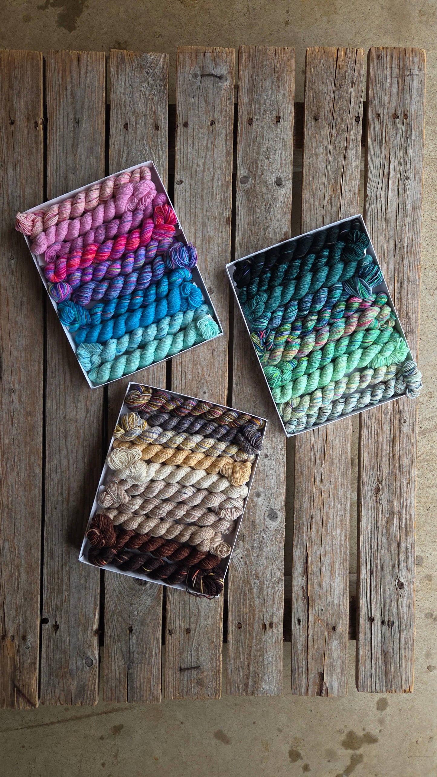 Venation Shawl Kits - Pencil Boxes x Ambah
