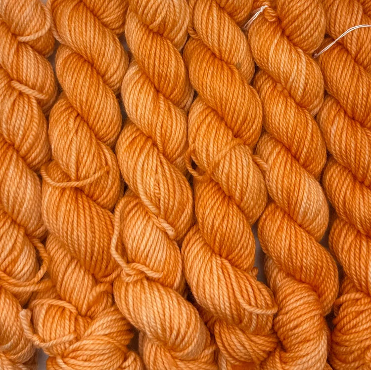 Acacius DK