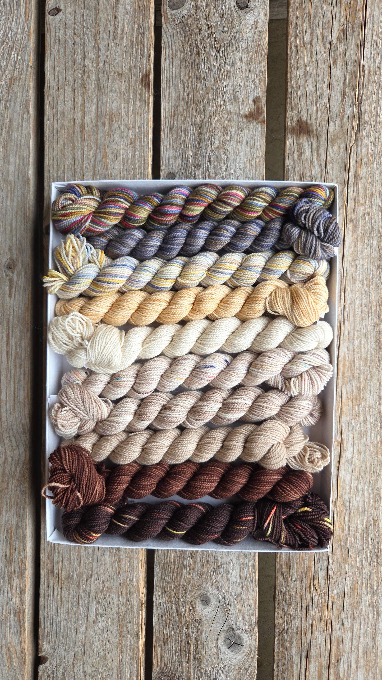 Venation Shawl Kits - Pencil Boxes x Ambah
