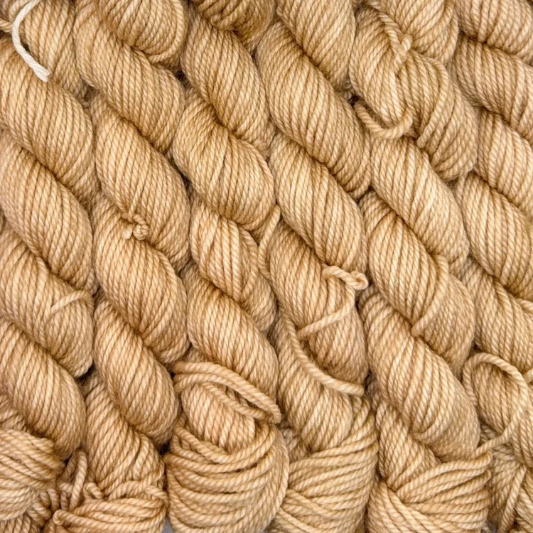 Acacius DK