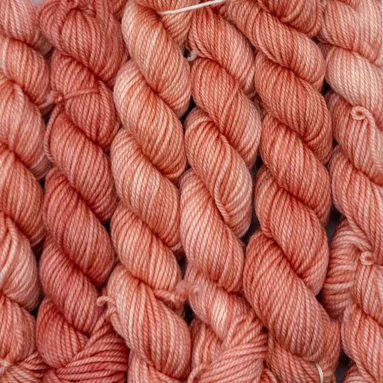 Acacius DK