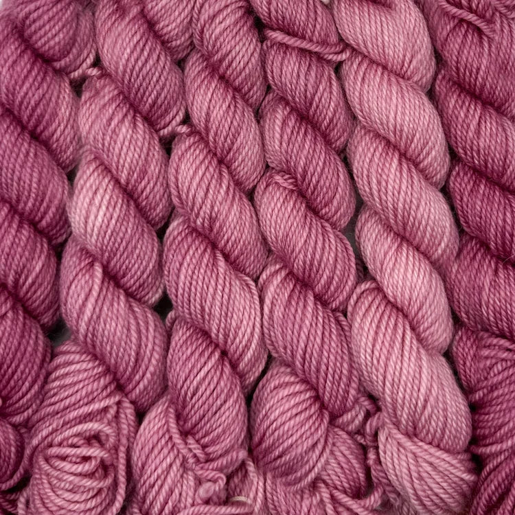 Acacius DK