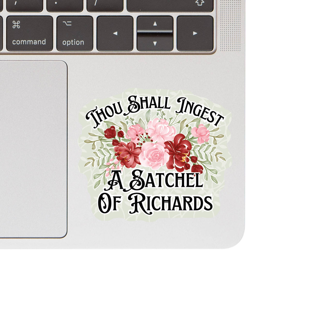 Vintage Funny Pun Sarcastic Humor High Quality Vinyl Sticker