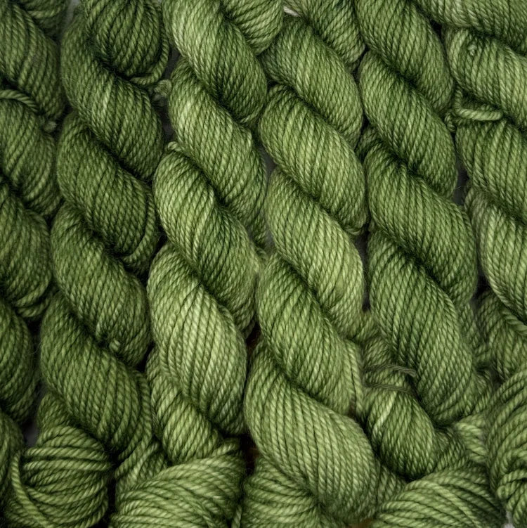 Acacius DK