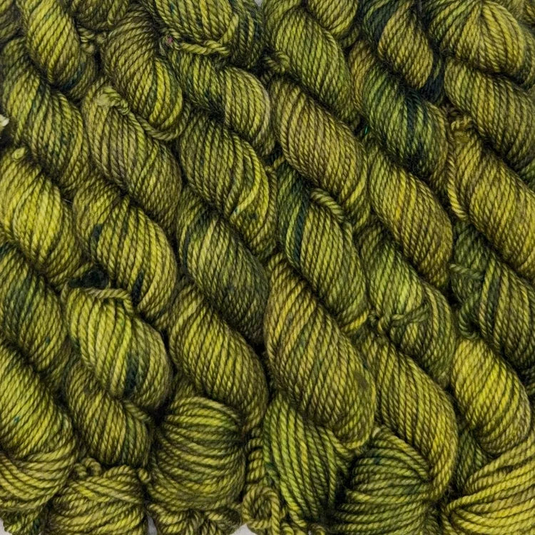 Acacius DK