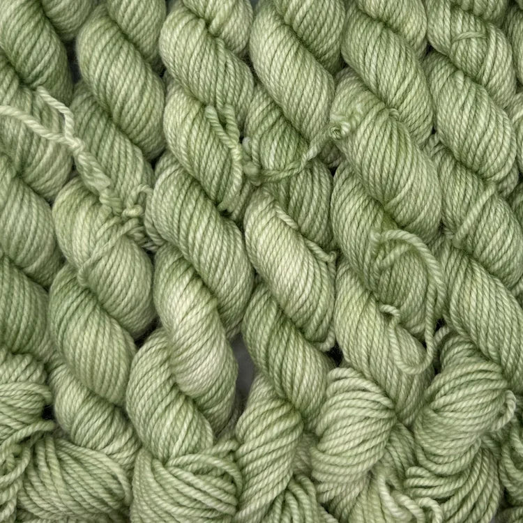 Acacius DK